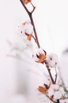 decoration with fluffy flowers on the table in winter style at the wedding.