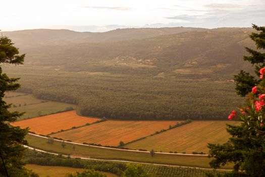 Top view of cultivated field in the Istrian countryside