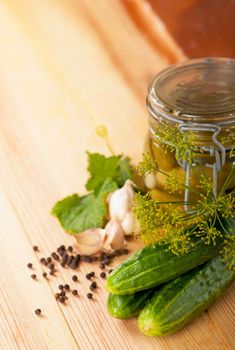 fresh cucumbers, tomatoes of cherry and fennel branch on a kitchen board