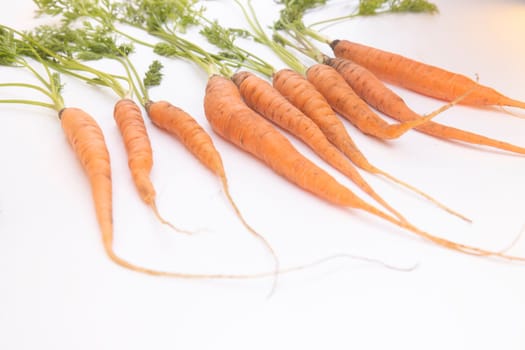 organic carrot isolated on white background , eco product