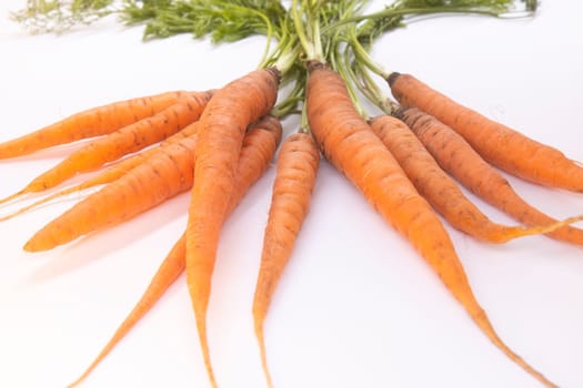 organic carrots grown in the garden on a white background , eco product