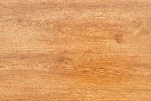 wood texture as wallpaper and background. High quality photo
