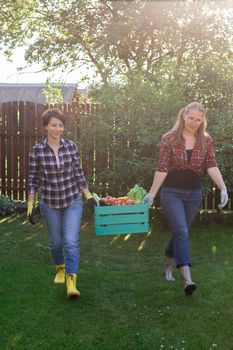 Beautiful women farmer holding ripe organic vegetables in wooden box in garden. Happy female gardener harvesting agricultural product for online selling