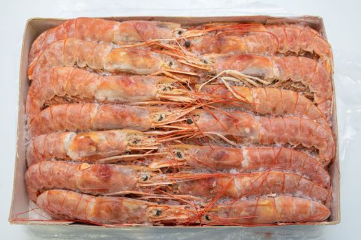 Frozen big king size shrimp in fridge at the fish market. Healthy eating and fish market concept