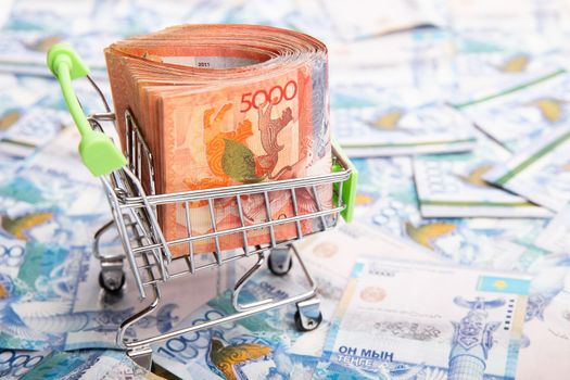 5000 Kazakhstan money tenge in a shopping cart.