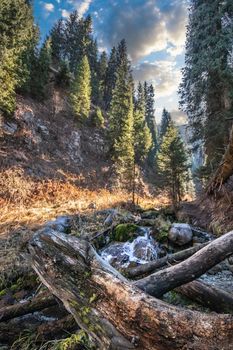 Bear gorge in Big Almaty gorge of Almaty mountains, ile alatau parkland, picturesque nature of Kazakhstan.