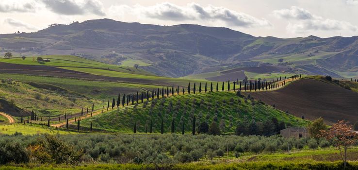 A picturesque landscape of a road with cypresses