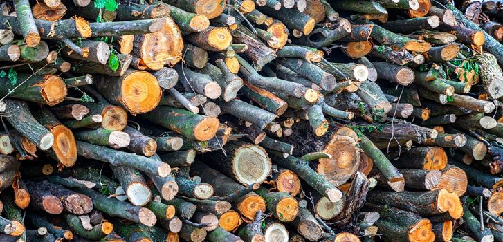 stacked dry wood for the fireplace. Close view