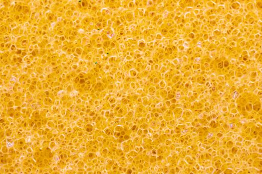 Yellow sponge detail texture, sponge texture background