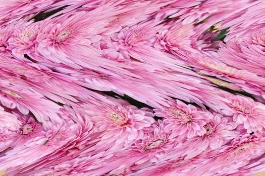 abstract paintings painted colors with digital photography 