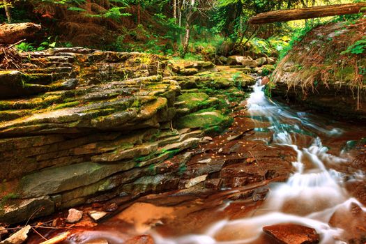 beautiful small stream in autumn forest