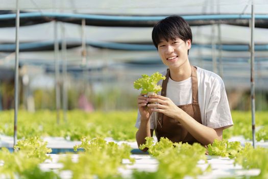 Portrait of farm owner smiling. Asian male business working at organic farm and quality control