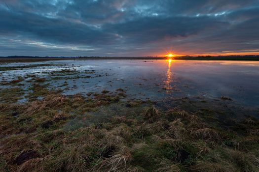 Sunset reflection in the water on a meadow in Czulczyce, eastern Poland