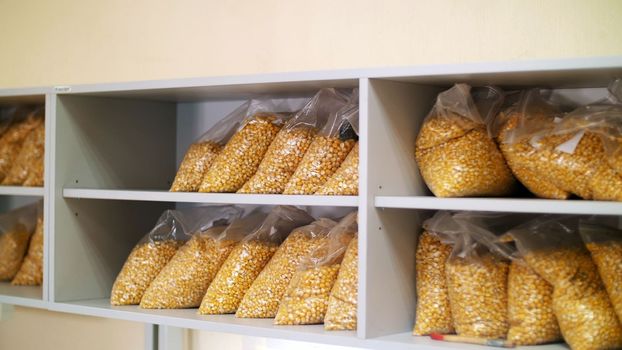 Laboratory research of corn seeds. samples of different species, varieties of selection corn. laboratory for the analysis and diagnosis of grain from the field. the cultivation of corn. High quality photo