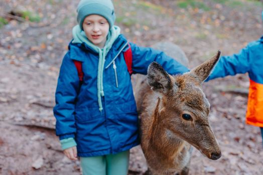 Cute child feeding a fawn. Cute little boy is feeding a baby fawn in the forest. Image with selective focus. The boy feeds the deer with leaves, the reserve, wild animals, the connection of animals with people. Pretty boy with graceful animal at park. Kids adaptation.