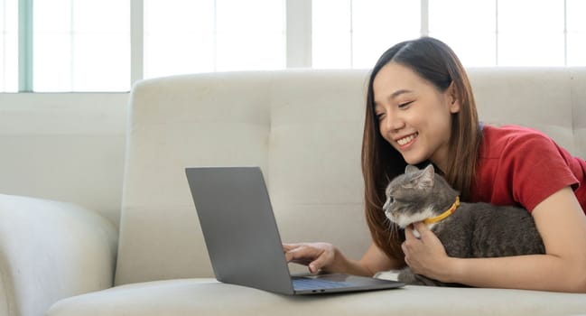 Pretty young woman using laptop and her beautiful cute thai cat sitting on the coach by the window, backlit warm light. Enjoying leisure time at home...