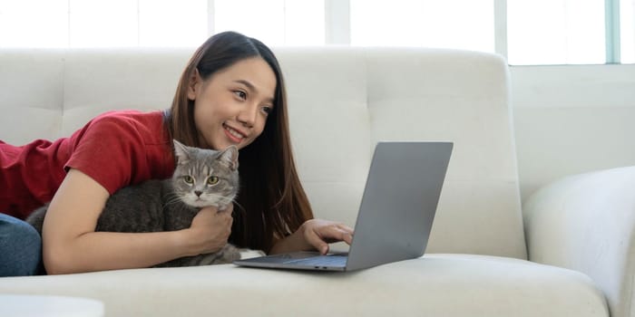 Pretty young woman using laptop and her beautiful cute thai cat sitting on the coach by the window, backlit warm light. Enjoying leisure time at home...