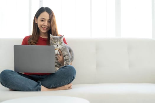 Pretty young woman using laptop and her beautiful cute thai cat sitting on the coach by the window, backlit warm light. Enjoying leisure time at home...