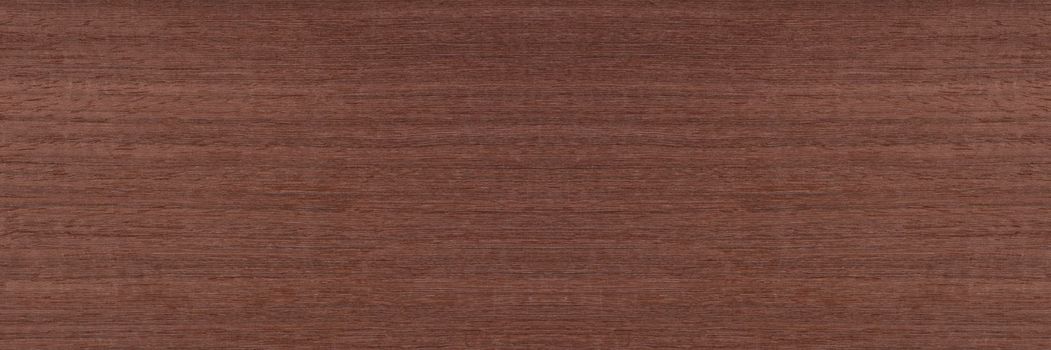 Texture of mahogany. Texture of koto wood with a reddish brown tint. Exotic rare wood from Africa for the production of expensive furniture or interior elements.