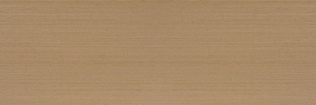 Wood texture, ash veneer texture for furniture, doors or flooring. Light ash wood veneer, top view