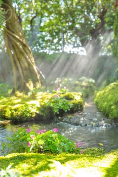 Selective focus at beautiful flower in spring moss and fern at the garden, Chiang Mai, Thailand