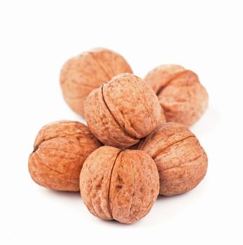 Walnut isolated on a white background.