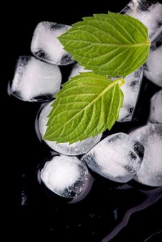 Ice cube with mint leaves on black background
