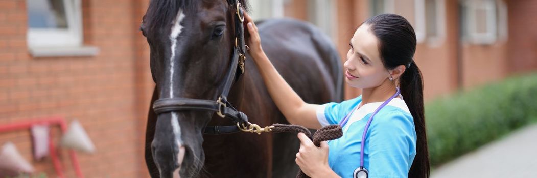 Female doctor in uniform with horse in stable.Veterinary services and medical examination of horses