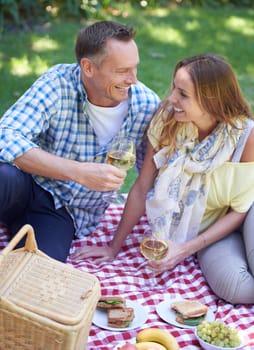 Having fun on their romantic picnic. a married couple enjoying a picnic outdoors