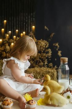 A little girl is sitting on the Easter table and playing with cute fluffy ducklings. The concept of celebrating happy Easter