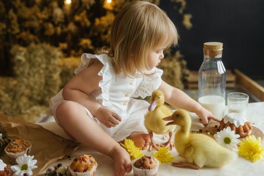 A little girl is sitting on the Easter table and playing with cute fluffy ducklings. The concept of celebrating happy Easter