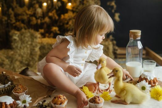 A little girl is sitting on the Easter table and playing with cute fluffy ducklings. The concept of celebrating happy Easter