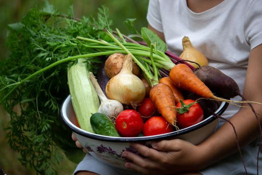 the boy is holding a bowl of freshly picked vegetables from the farm. Organic products. Selective focus