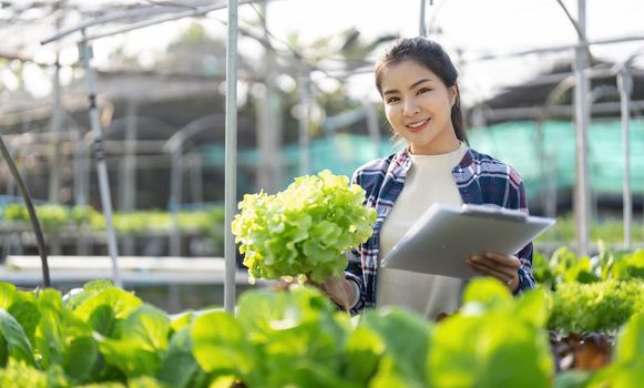 Asian female farmer record data in his farm, trying to collect and inspect the vegetables.