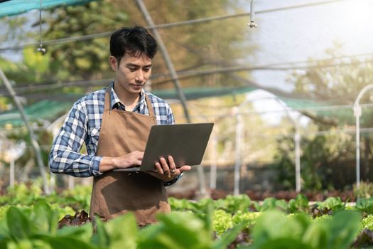 Young Asian farmer farmer record data in his farm, trying to collect and inspect the vegetables in laptop.