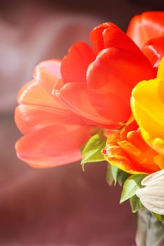 Beautiful spring bouquet of tulip flowers close up.