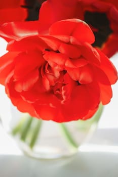 Beautiful spring bouquet of tulip flowers close up.