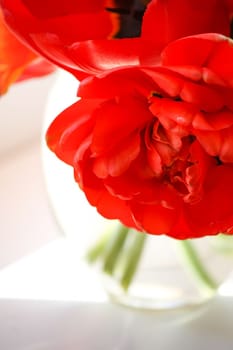 Beautiful spring bouquet of tulip flowers close up.