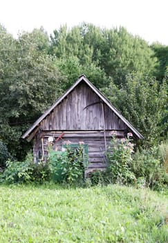 Old wooden shed in the village. Farm buildings.