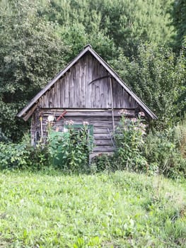 Old wooden shed in the village. Farm buildings.