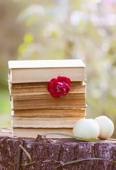 Vintage card with stack of old books, fresh garden apples and rose flower on tree stump in a summer park.