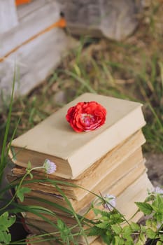 Vintage card with stack of old books and red rose flower outdoors