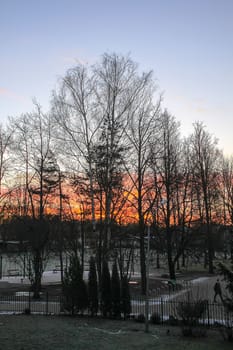 Winter day in Latvia, Europe. Scenic nature view. Sunset in a park.