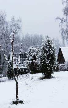 Seasonal nature background. Winter nature details