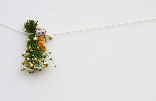 Freshly picked medical herbs hanging on white background