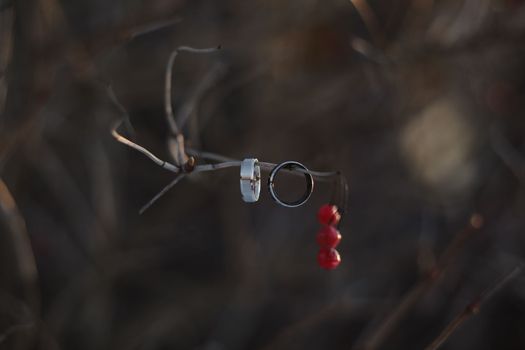 wedding photography. Two wedding rings on a tree branch with blurred background. Love, Wedding, Marriage, Proposal concept.