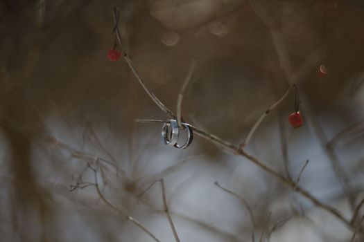 wedding photography. Two wedding rings on a tree branch with blurred background. Love, Wedding, Marriage, Proposal concept.