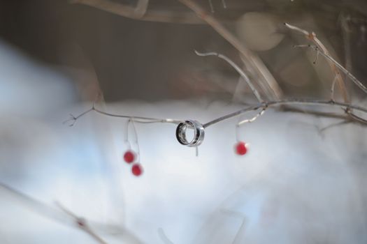 wedding photography. Two wedding rings on a tree branch with blurred background. Love, Wedding, Marriage, Proposal concept.