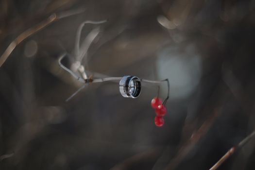wedding photography. Two wedding rings on a tree branch with blurred background. Love, Wedding, Marriage, Proposal concept.