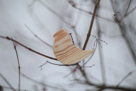 Wooden handmade toy bird on the tree branch on a winter day. Hello Spring concept. Winter landscape
